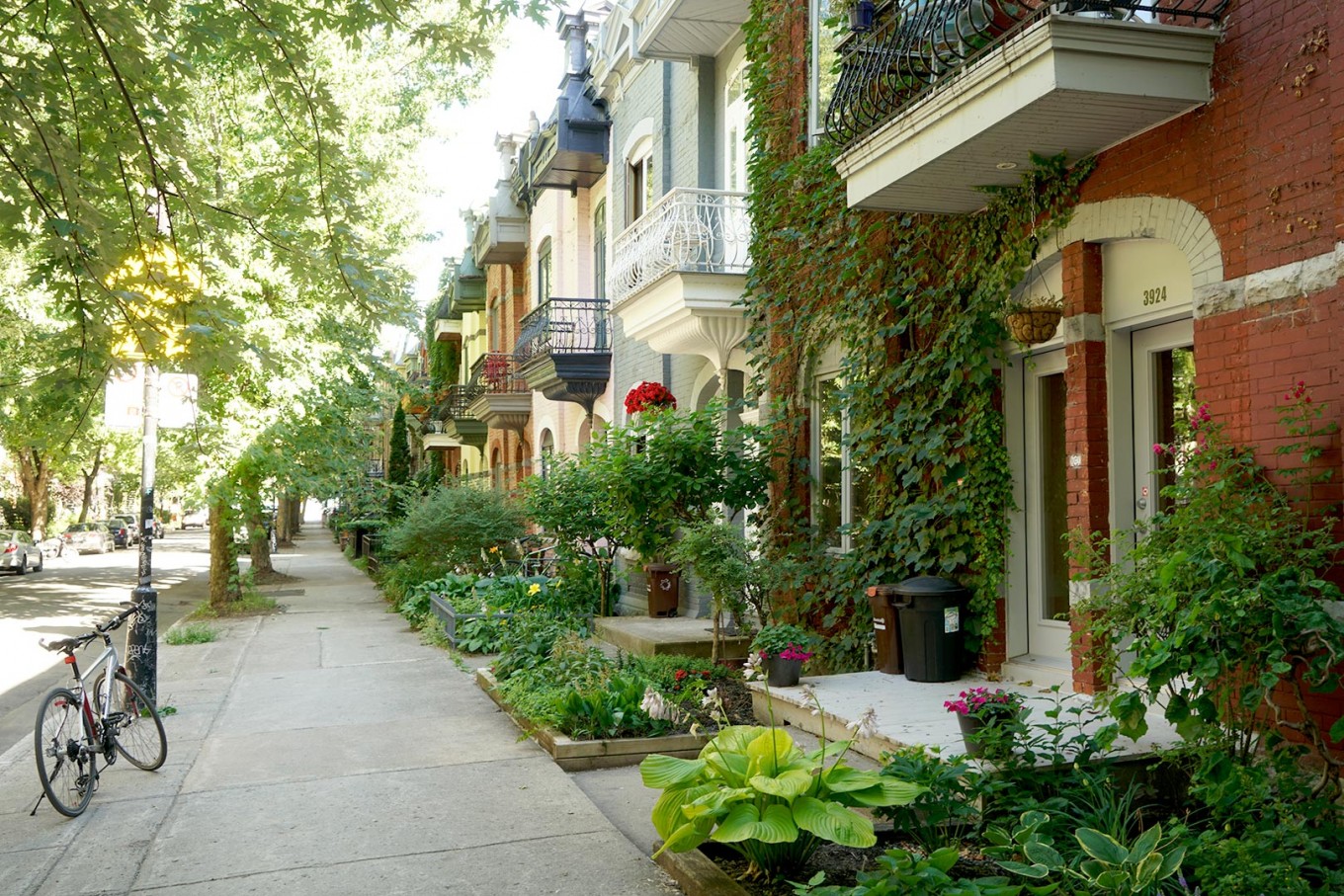 © L'Avenue du Mont-Royal