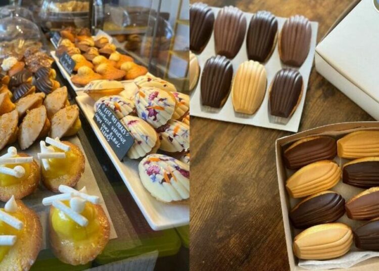 Couverture Les Madeleines d'Émilie